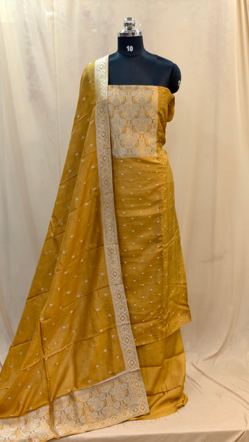 Banarasi Salwar | PC211