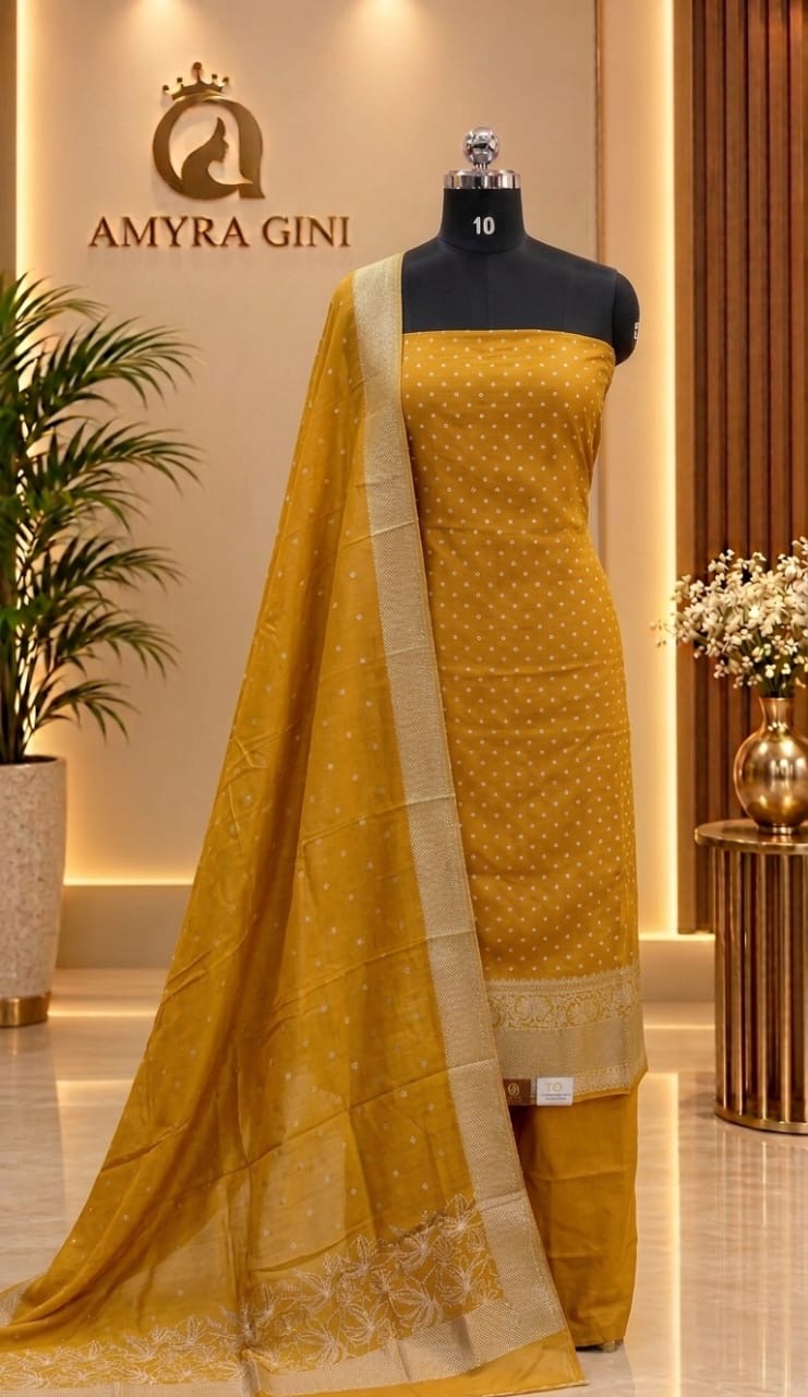 Banarasi Salwar | PA351