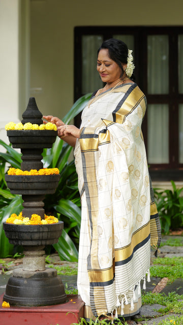 Handloom Finish Saree| GS196
