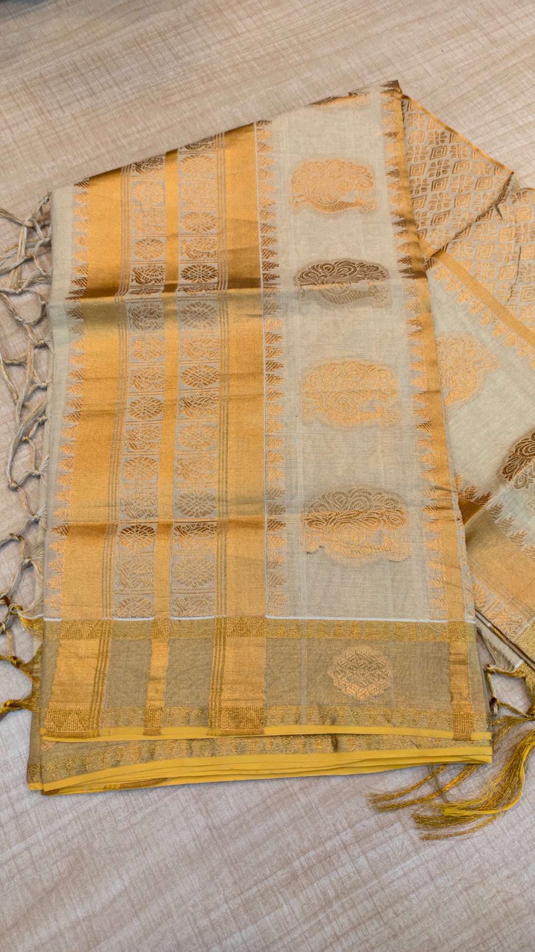Handloom Finish Saree | GS63
