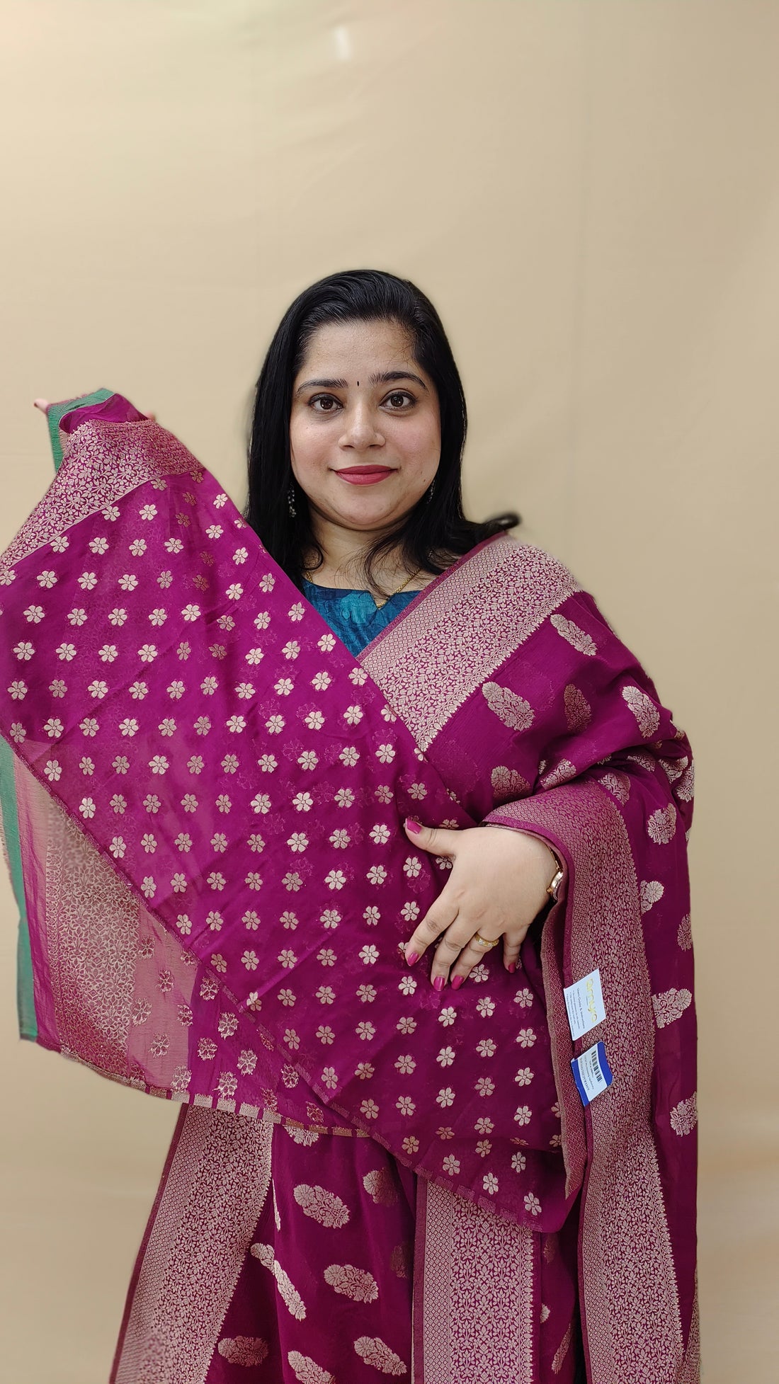 Georgette Banarasi Saree | AG111