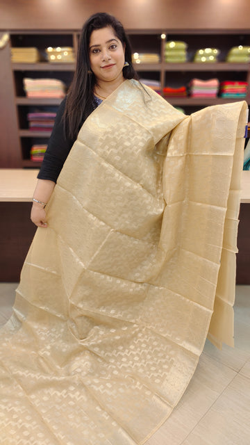 Tissue saree | AS102402