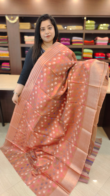 Tissue Organza Saree | AG120