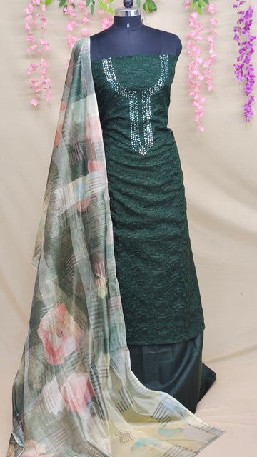 Organza Salwar | AMY3355