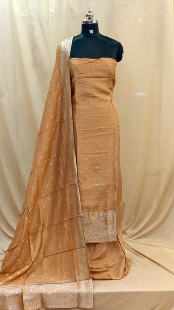 Banarasi Salwar | PC213
