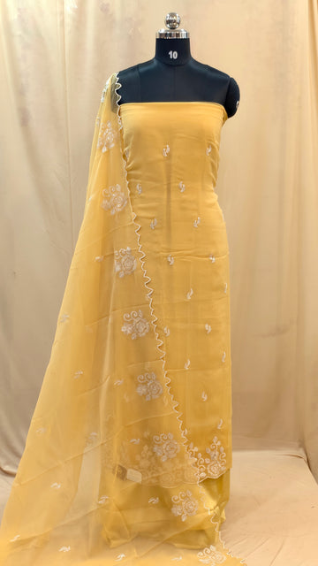 Crush Silk Salwar | PB247