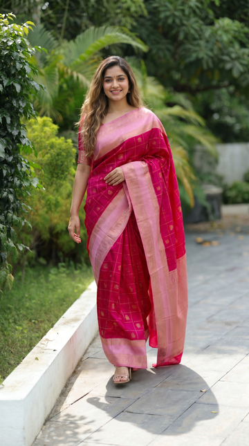 Soft Silk Saree | PW19