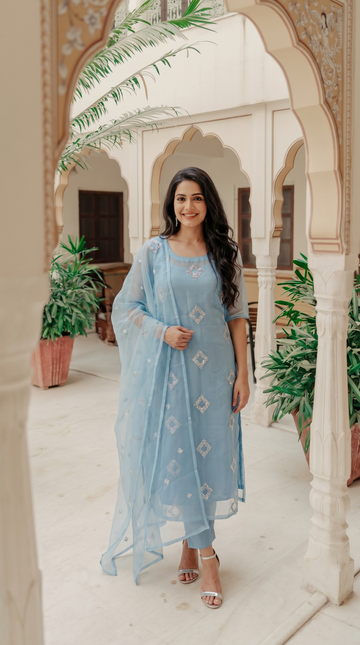 Tissue Organza Salwar | PB330