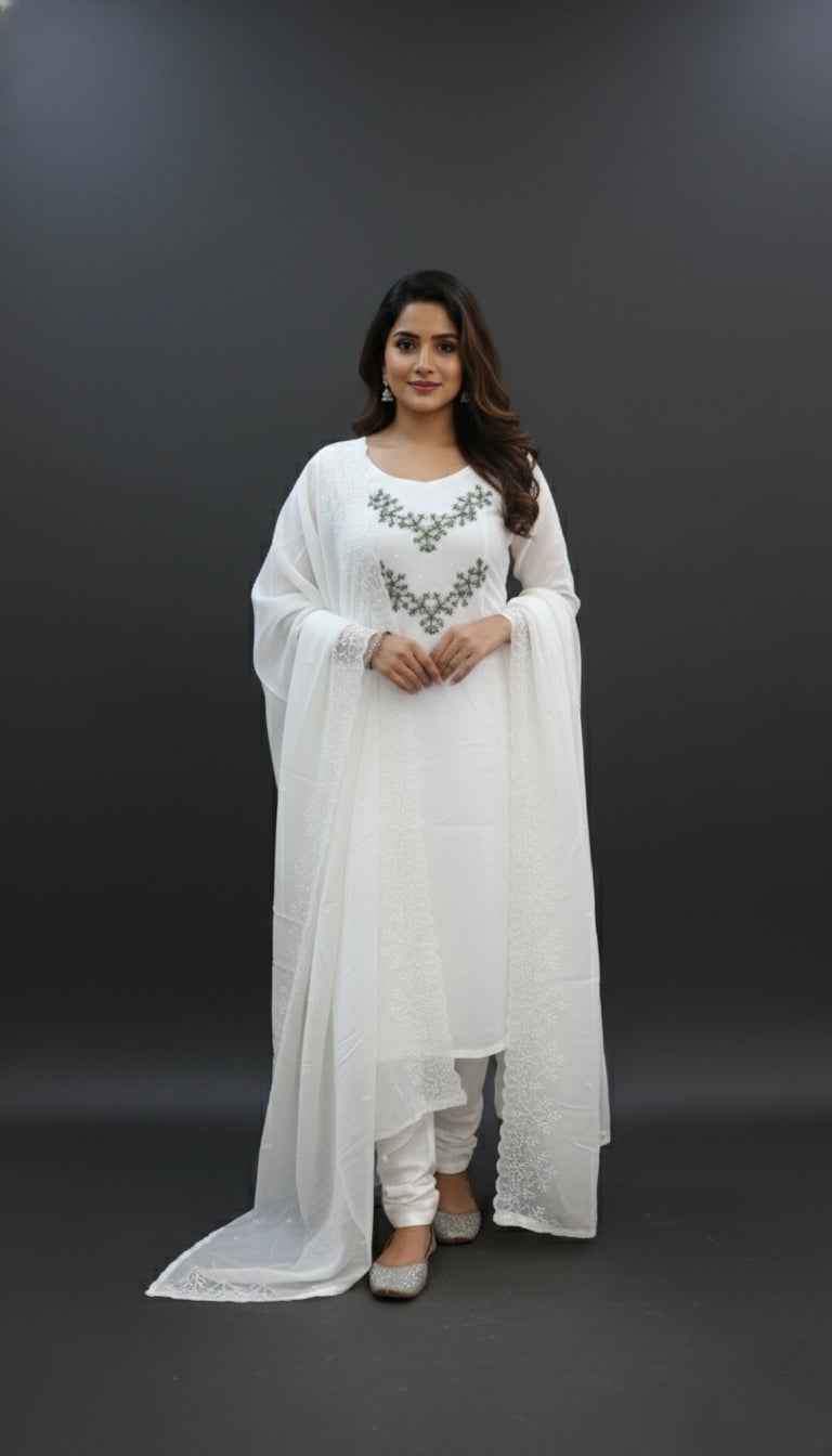 Pure Organza Salwar | P1122